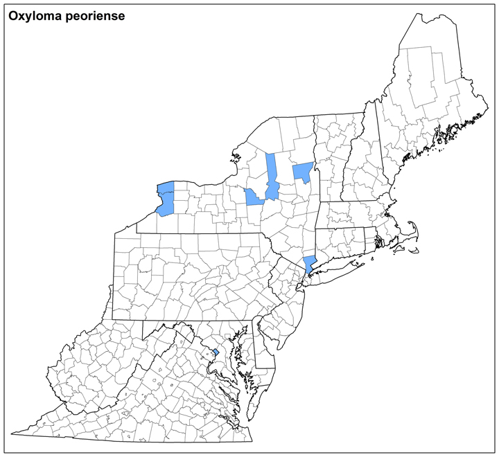 Oxyloma peoriense Range Map